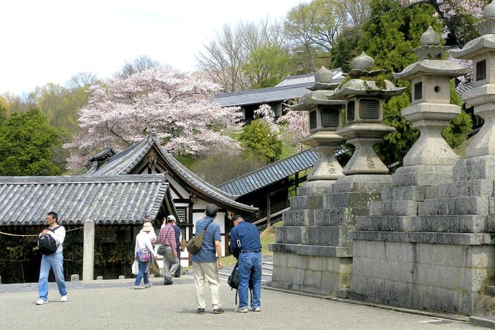 Todai-ji Temple & Nara Sake Tasting Walking Tour — photo 9