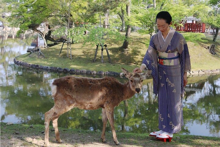 Todai-ji Temple & Nara Sake Tasting Walking Tour — photo 5