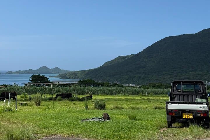 Spirit of Ishigaki: explore the land and lore — photo 20