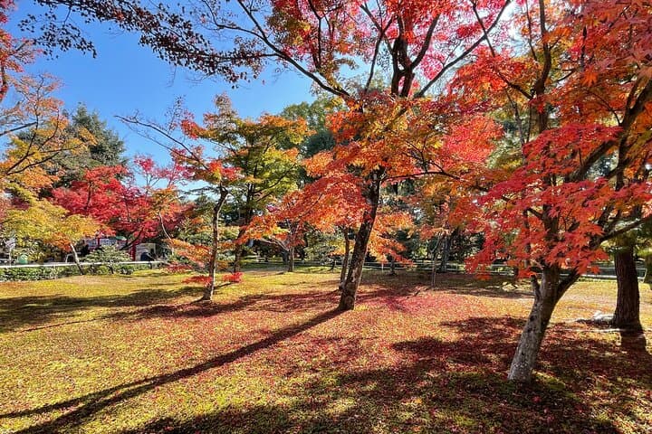 Kyoto: Kinkaku-ji Temple & Serene Garden Guided Tour with Tickets — photo 15
