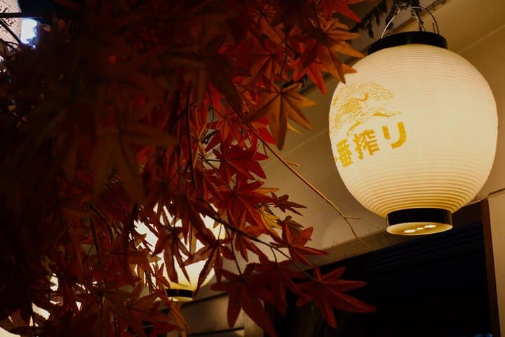 Tokyo Shinjuku Nightlife and Izakaya Walking Tour — photo 4