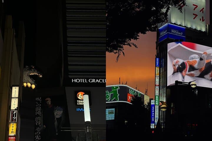 Tokyo Shinjuku Nightlife and Izakaya Walking Tour — photo 9