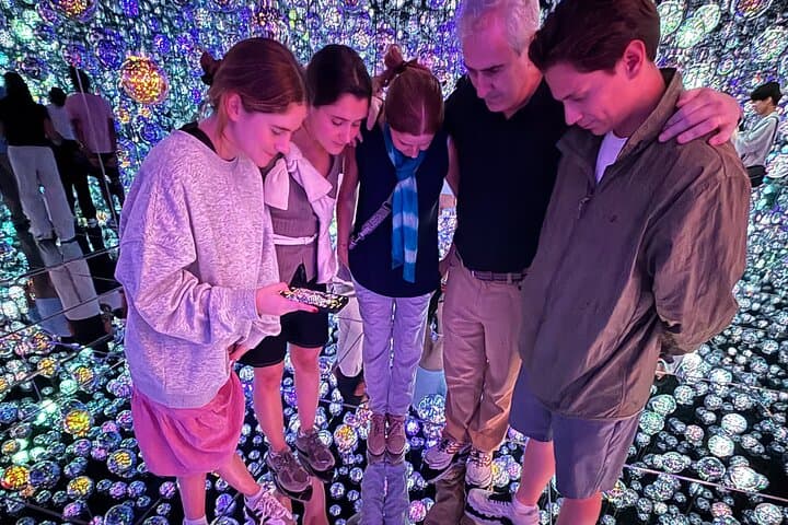 Tokyo Highlights Private Custom Tour with Licensed Guide & Driver — photo 5