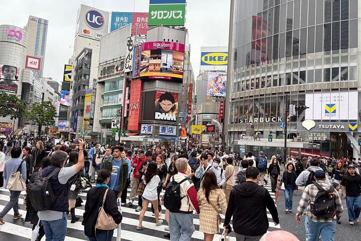 Tokyo Private Sightseeing Tour from Yokohama with Airport Dropoff — photo 7