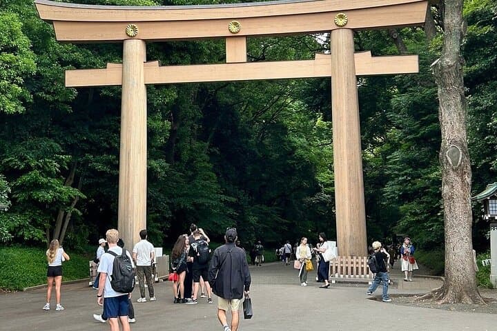Tokyo Private Sightseeing Tour from Yokohama with Airport Dropoff — photo 2