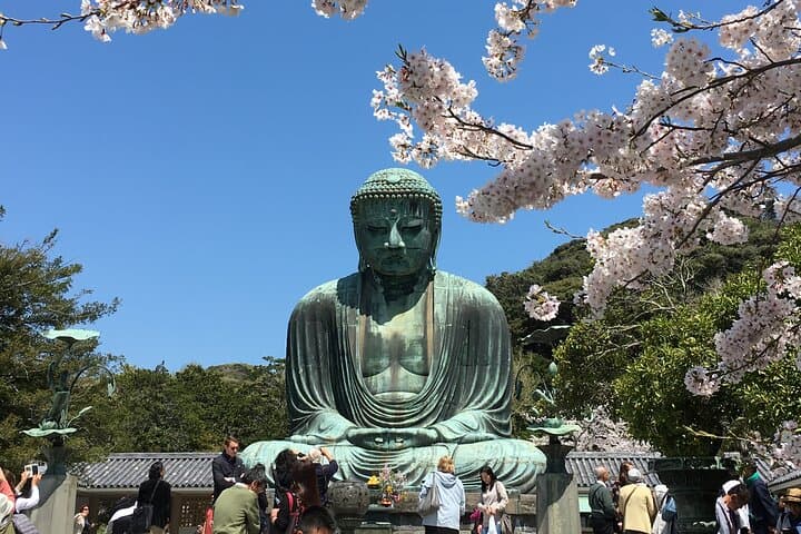 Kamakura Historical Discovery | Private Licensed Guide & Driver — photo 3