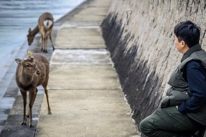 1 Hour Private Photoshoot in Hiroshima — photo 9