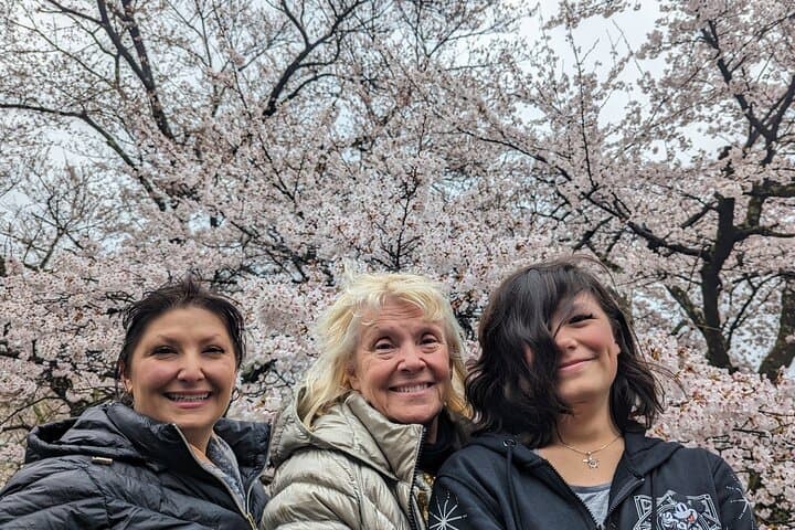 Tokyo Highlights Private Custom Tour with Licensed Guide & Driver — photo 2