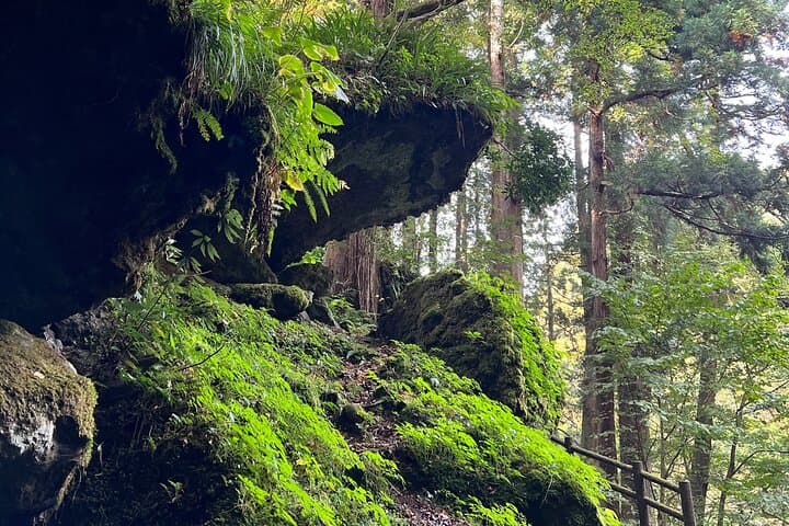 Hidden Treasures Day Tour from Toyama by Car — photo 5