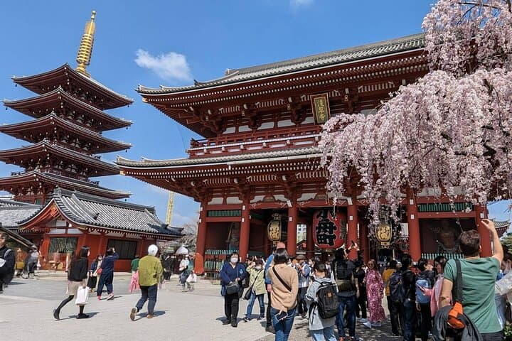 Tokyo Highlights Private Custom Tour with Licensed Guide & Driver — photo 3
