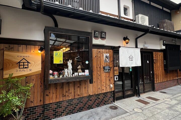 Private Tea Ceremony at Kyoto Cat Sanctuary – Ethical Retreat — photo 3
