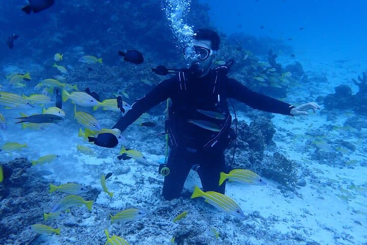 [Half day] Charter diving experience at Ishigaki Island - Novices welcome!!～ — photo 4