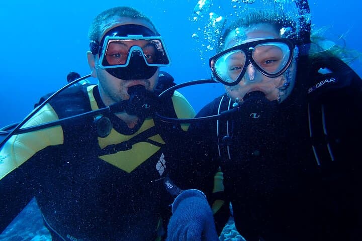 【Okinawa Post-Ishigaki Island / Sea Turtle】 Diving for 2 persons only - Novices / No License Available - — photo 20