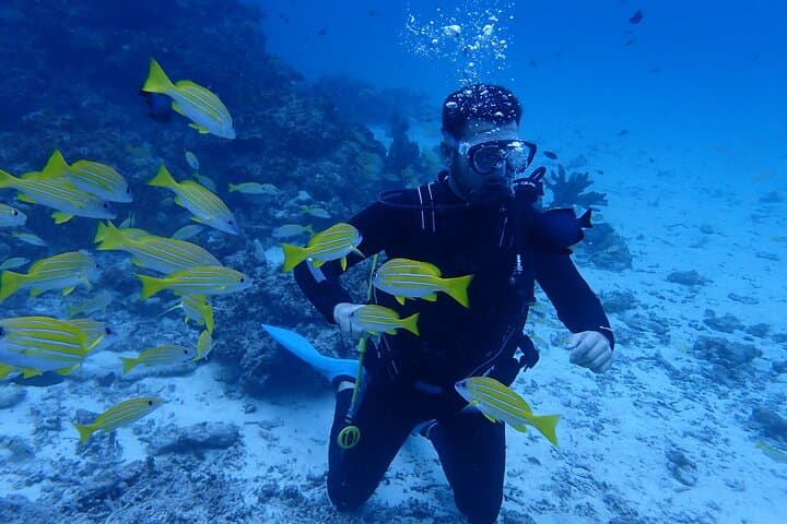 [Half day] Charter diving experience at Ishigaki Island - Novices welcome!!～ — photo 13
