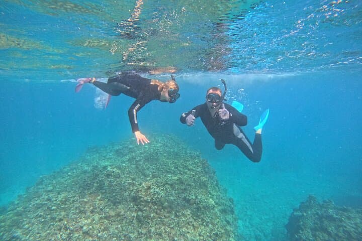 Sea Turtle Snorkel Tour to Swim with Corals and Fish on Ishigaki Island～ — photo 17