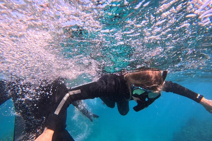 Sea Turtle Snorkel Tour to Swim with Corals and Fish on Ishigaki Island～ — photo 18