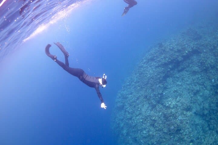 Sea Turtle Snorkel Tour to Swim with Corals and Fish on Ishigaki Island～ — photo 19