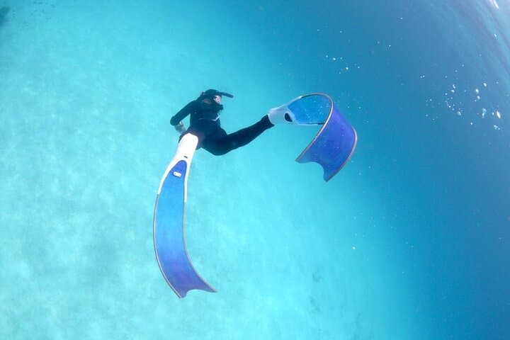 Sea Turtle Snorkel Tour to Swim with Corals and Fish on Ishigaki Island～ — photo 20
