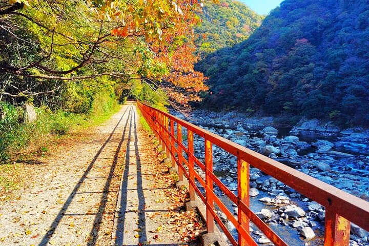 Near Osaka: Secret Abandoned Railway Gorge Hike — photo 4