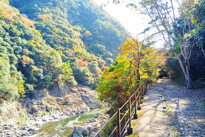 Near Osaka: Secret Abandoned Railway Gorge Hike — photo 7