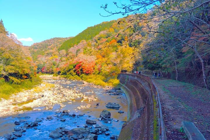 Near Osaka: Secret Abandoned Railway Gorge Hike — photo 11