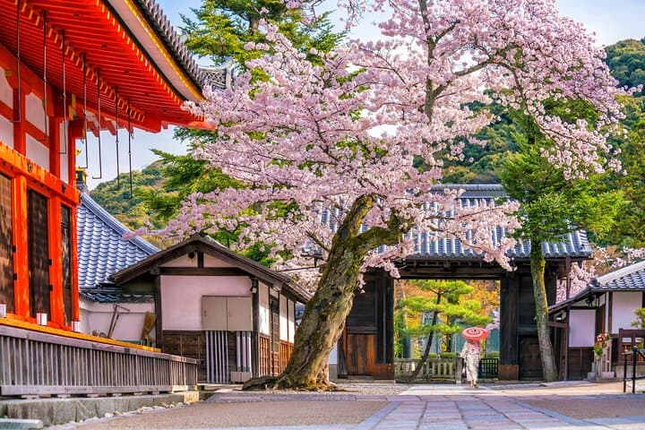 Kyoto: Fushimi Inari Taisha, Kiyomizu-dera & Gion Private Tour — photo 8