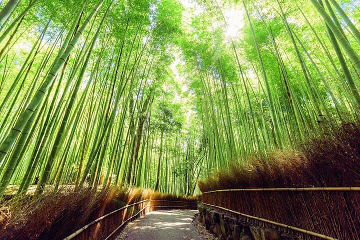 Kyoto Arashiyama & Kinkaku-ji Temple Private Tour From Osaka Port — photo 6