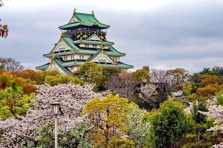 Osaka, Kyoto or Nara one day Private Charter car service — photo 3