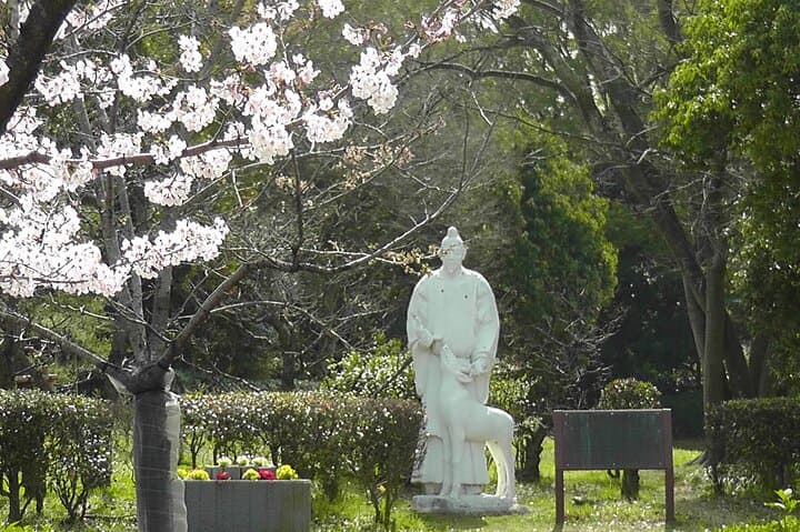 Sakai Mozu Kofun Tombs Tour and Tea Ceremony — photo 11