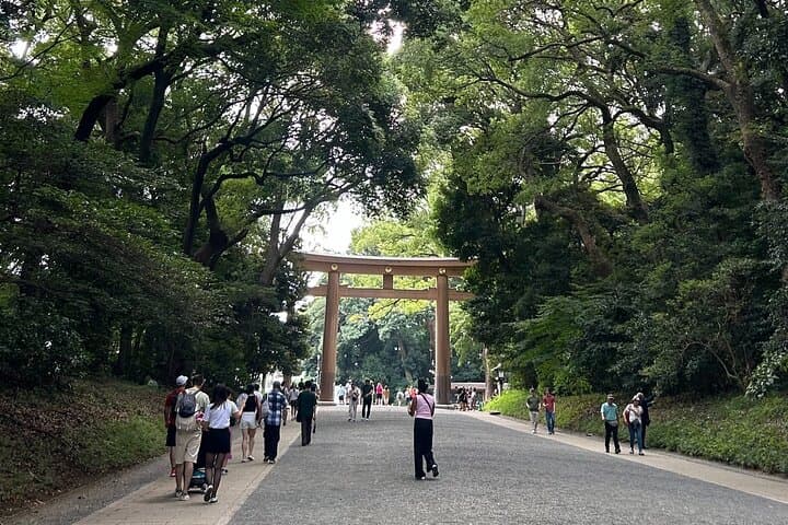 Tokyo Private Walking Tour Shibuya, Harajuku and Meiji Jingu — photo 2