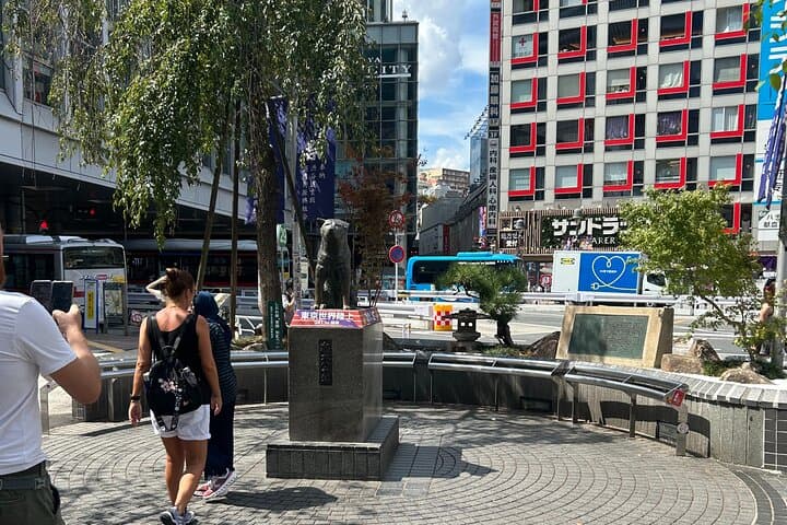Tokyo Private Walking Tour Shibuya, Harajuku and Meiji Jingu — photo 5