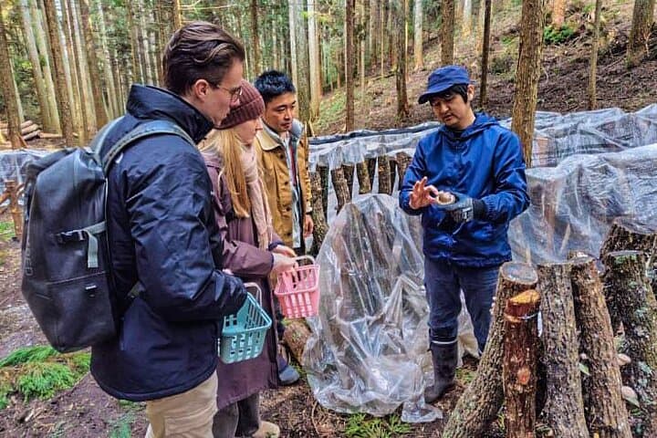 Oita: Shiitake Mushroom Farm Tour & Tasting — photo 6