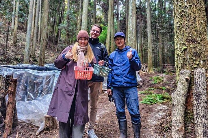 Oita: Shiitake Mushroom Farm Tour & Tasting — photo 11