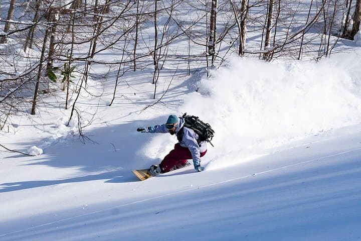 KAMUI SKI LINKS Snow CAT Tour — photo 6