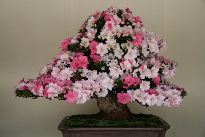 Tokyo Private Tour with a Local Guide — photo 10