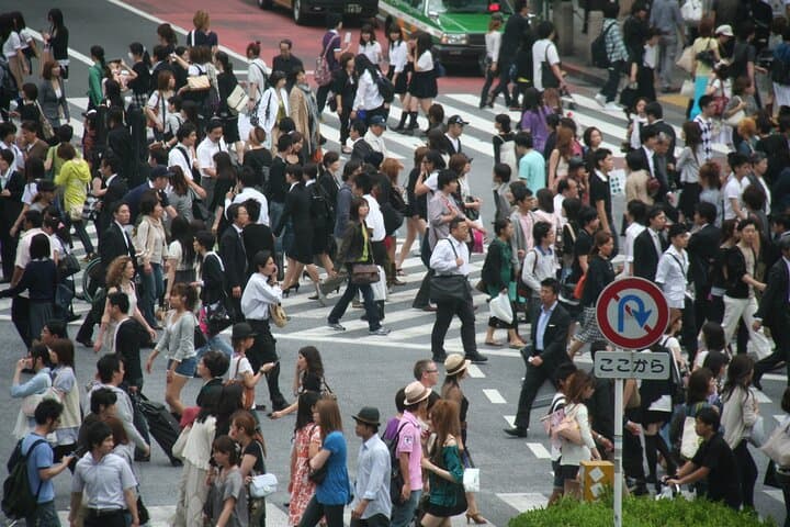 Tokyo Private Tour with a Local Guide — photo 5