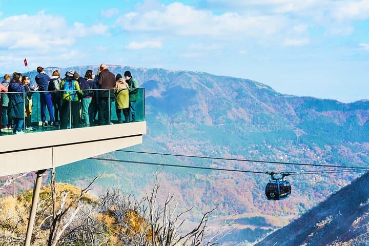 Tokyo: Mt. Fuji Cruise & Hakone Ropeway Day Trip by Bus — photo 9