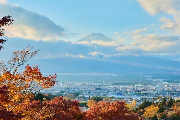 Tokyo: Mt. Fuji Cruise & Hakone Ropeway Day Trip by Bus — photo 10