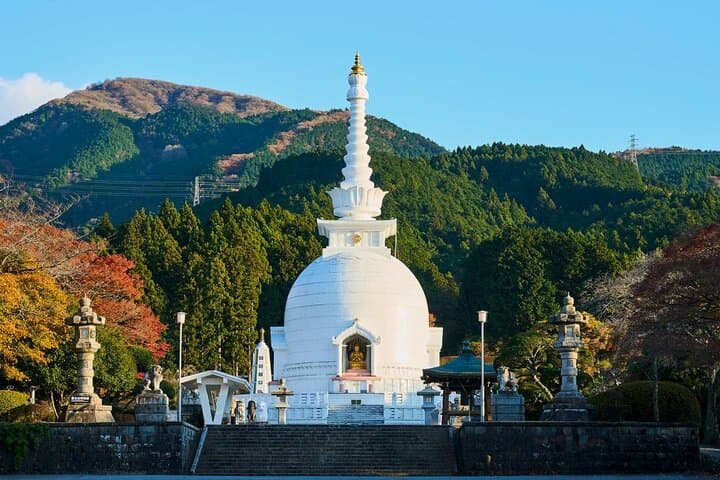 Tokyo: Mt. Fuji Cruise & Hakone Ropeway Day Trip by Bus — photo 11