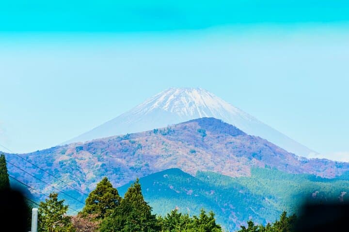 Tokyo: Mt. Fuji Cruise & Hakone Ropeway Day Trip by Bus — photo 17