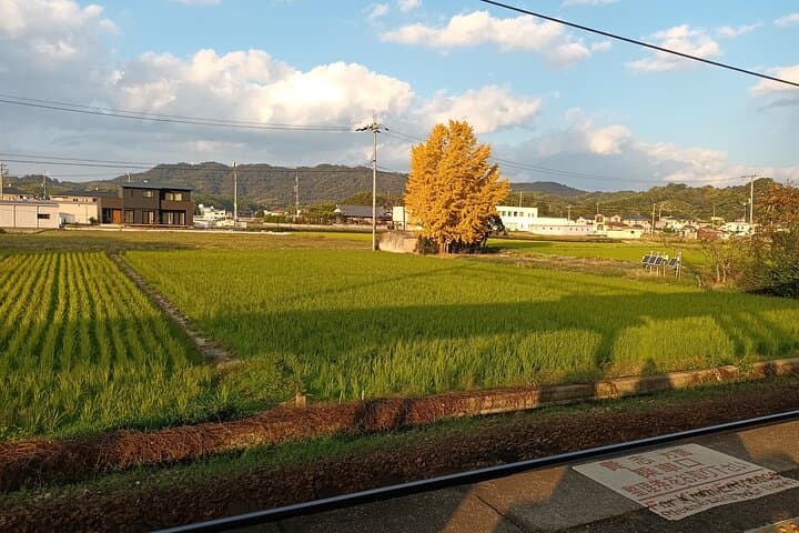 Kumano Kodo Kii-ji Walking Tour from Hoshiya Station — photo 5