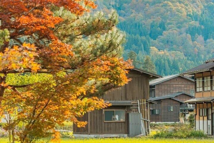 Shirakawa-go Gassho Village and Takayama Culture Day Trip — photo 11