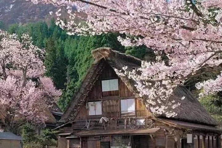 Shirakawa-go Gassho Village and Takayama Culture Day Trip — photo 15