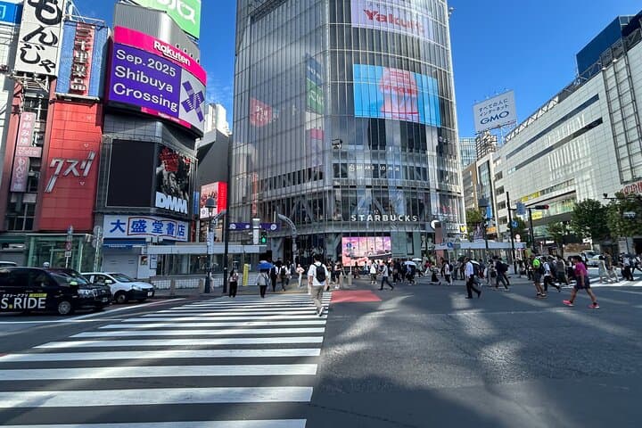 Tokyo Private Walking Tour Shibuya, Harajuku and Meiji Jingu — photo 10