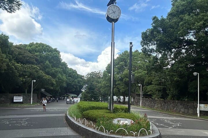 Tokyo Private Walking Tour Shibuya, Harajuku and Meiji Jingu — photo 11