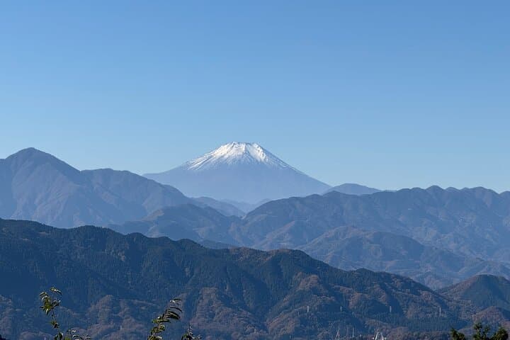 Samurai Guide Sho’s Mt. Takao Hike, Temple & Spa from Shinjuku — photo 4