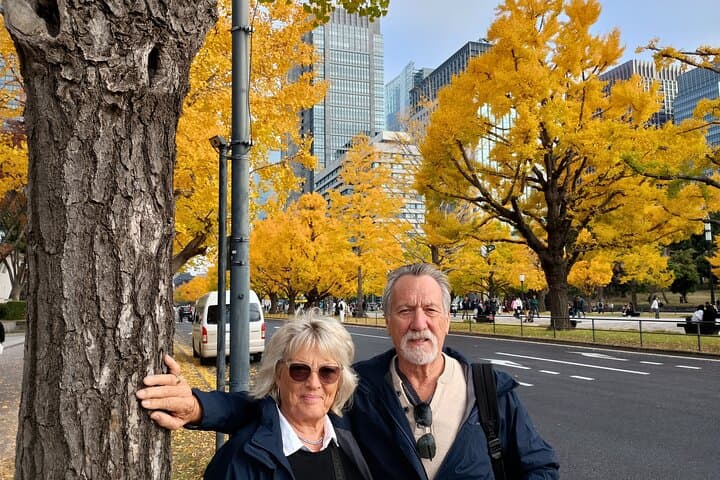 Best of Tokyo Private Tour for Yokohama Cruise Passengers — photo 18