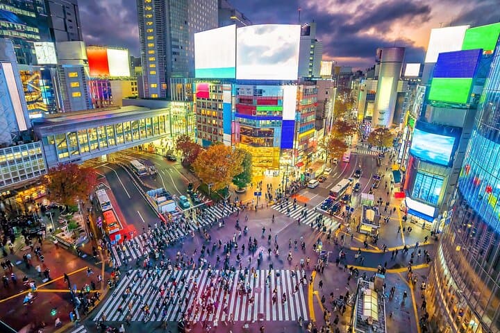 Tokyo Private Tour by Vehicle with English-Speaking Chauffeur — photo 8