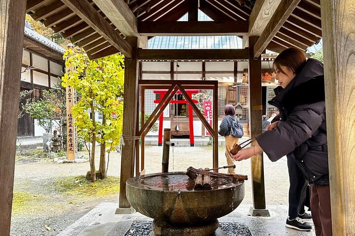 From Nagoya: Discover Aichi — Korankei, Miso, & Inari Shrine — photo 11
