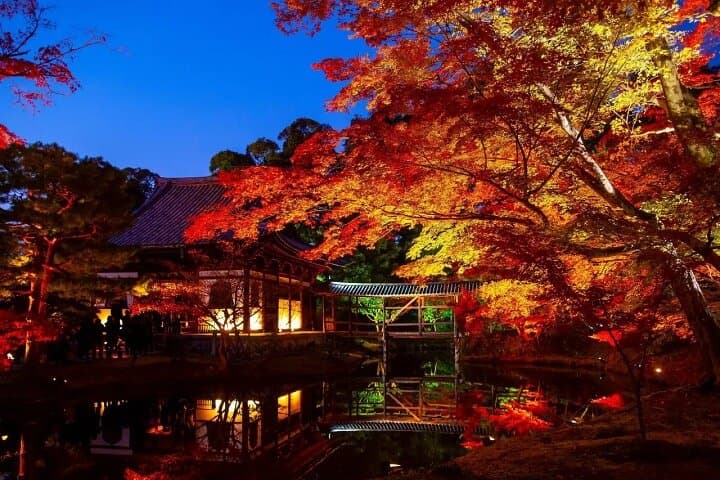 Quiet Kyoto: Morning Shrine Walk & Authentic Japanese Breakfast — photo 7